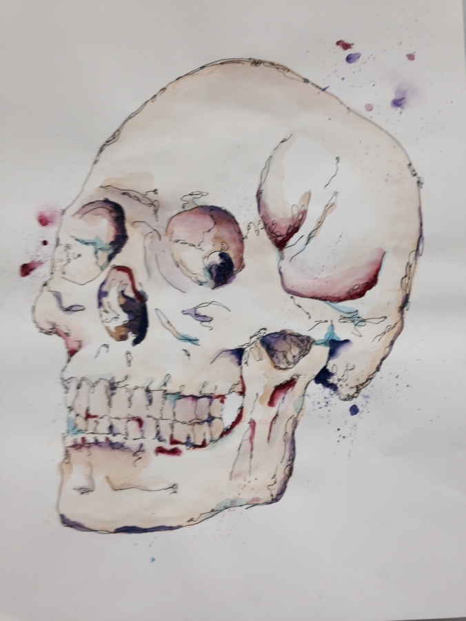 Awesome watercolor. Skills and skeletons are pretty popular in the classroom right now. 